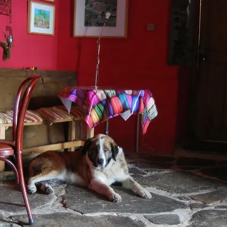 Mil Madrenas Rojas Apartman Salientes