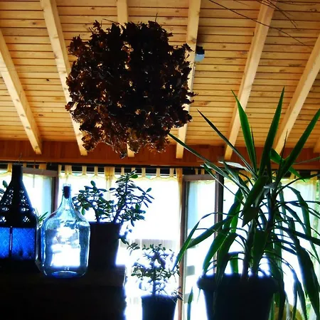 公寓 Mil Madrenas Rojas