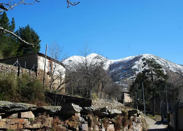 Mil Madrenas Rojas *