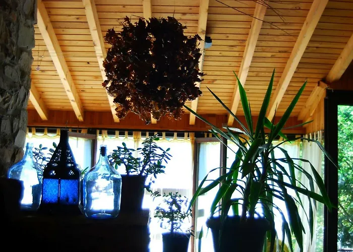 公寓 Mil Madrenas Rojas