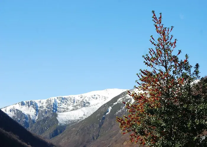 Mil Madrenas Rojas アパート *